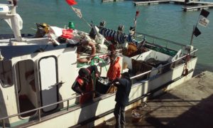 Fishermen unloading their catch in Chipiona