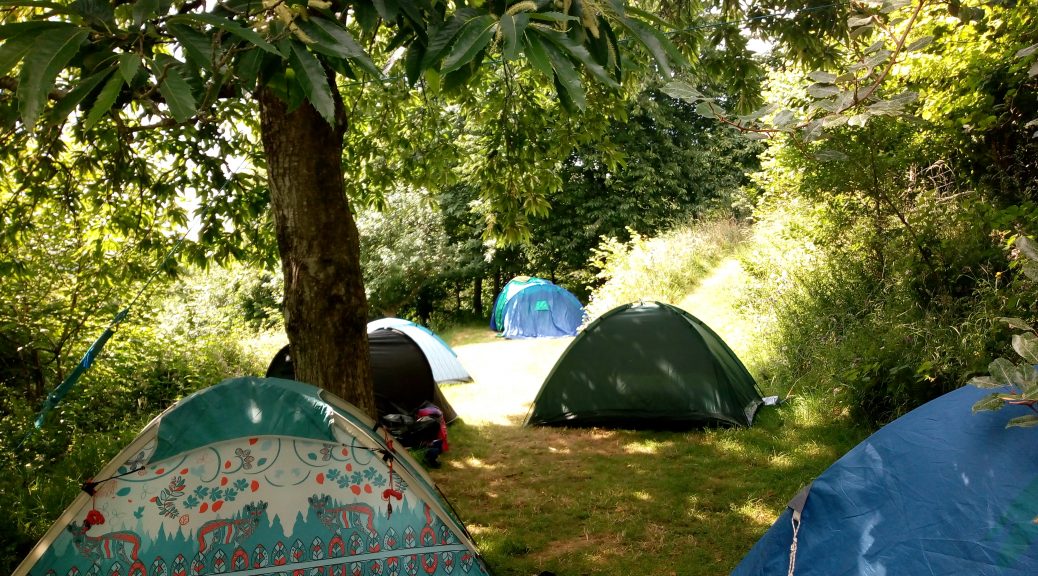 tents in a field