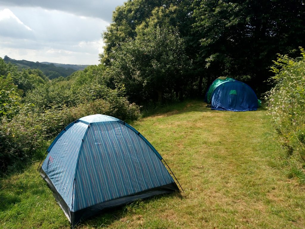 eco-camping in Devon; tents in a field